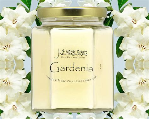 perfume that smells like gardenia|best gardenia scented candles procedures.